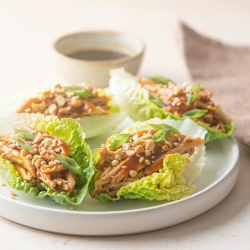 ASIAN LETTUCE CUP WRAPS